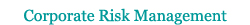 Corporate Risk Management